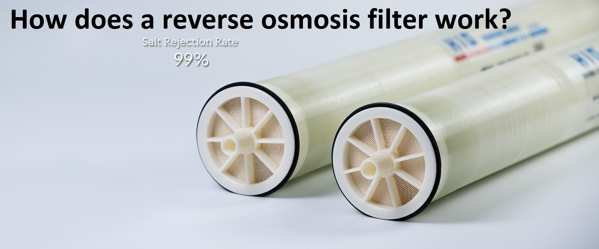How does a reverse osmosis filter work?