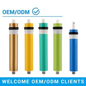 Factory making household drink water purifier ro membrane 200GPD/300GPD/400GPD/500GPD/600GPD