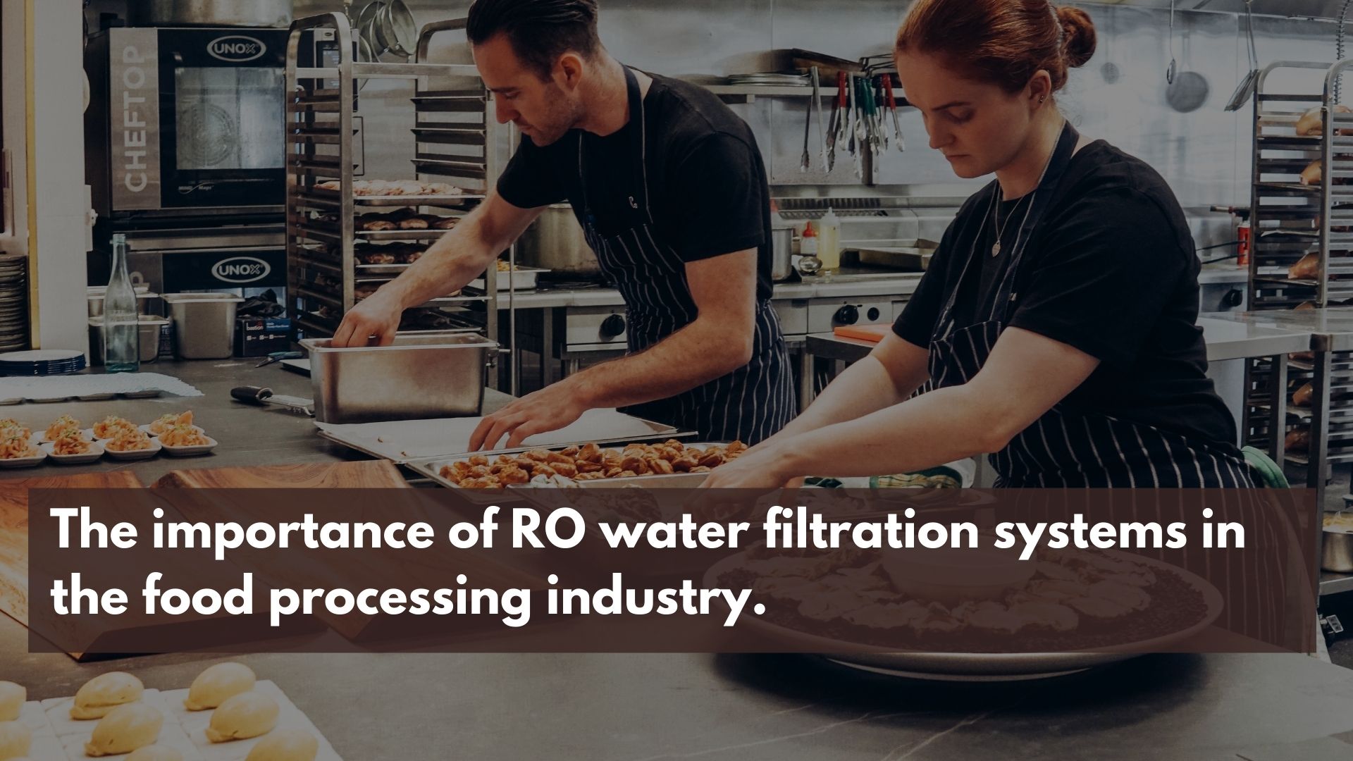 The importance of RO water filtration systems in the food processing industry.