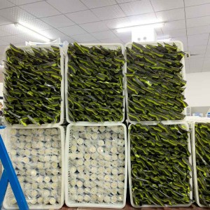 Top Quality Water Filter Parts 50g, 75g, 100g Price Domestic RO Membrane